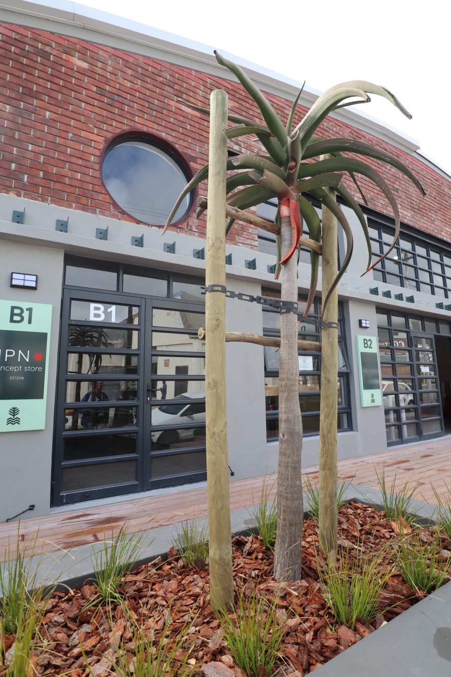 To Let commercial Property for Rent in Salt River Western Cape